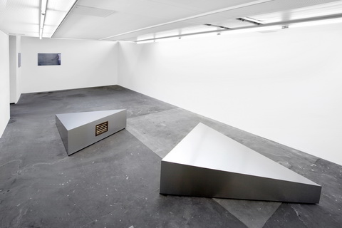 Jana Guerrero Lara Wild at Heart FB69 Galerie Mnster