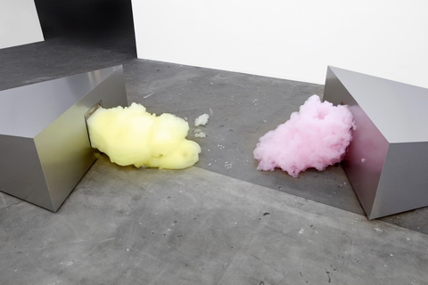 Jana Guerrero Lara Wild at Heart FB69 Galerie Mnster