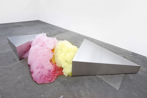 Jana Guerrero Lara Wild at Heart FB69 Galerie Mnster