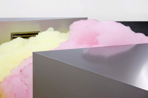 Jana Guerrero Lara Wild at Heart FB69 Galerie Mnster