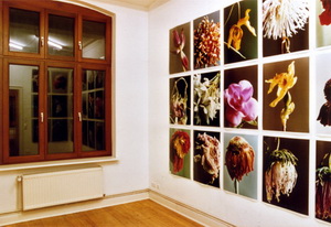 Sabine Sinner FB69 Galerie Mnster