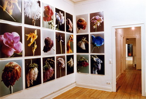 Sabine Sinner FB69 Galerie Mnster