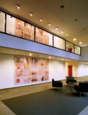 Sabine Sinner FB69 Galerie Mnster