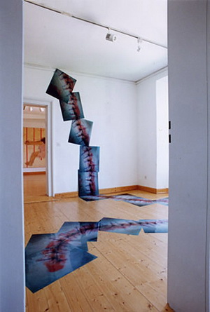 Sabine Sinner FB69 Galerie Mnster