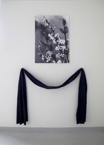 Kristin Wenzel - FB69 Galerie M�nster