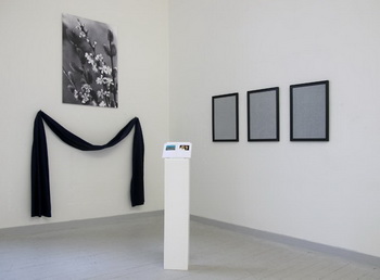 Kristin Wenzel - FB69 Galerie M�nster