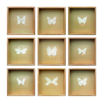 Kristin Wenzel - FB69 Galerie M�nster